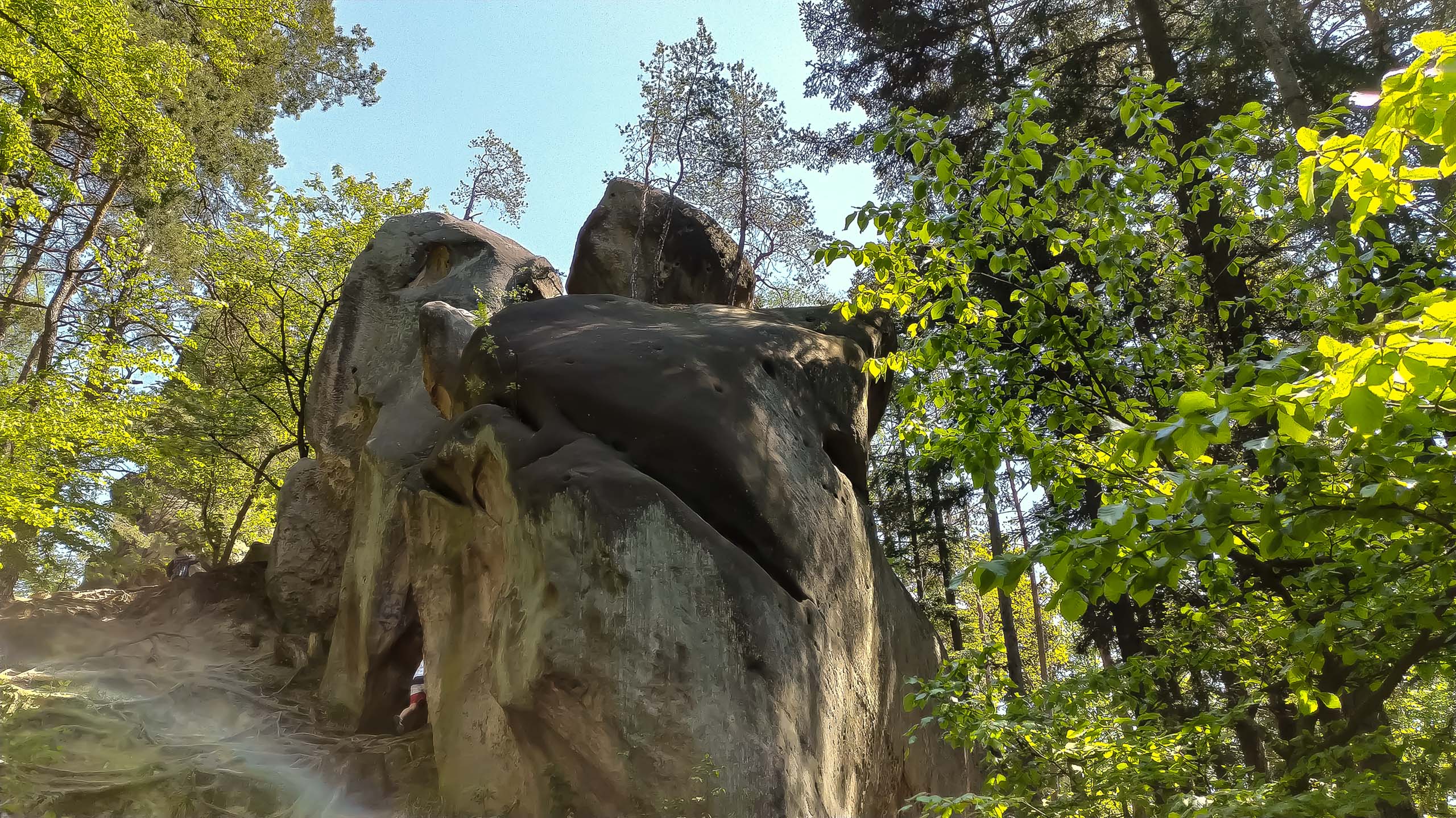 IMG 20200510 113532 kopia